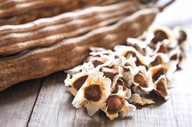 Graines de Moringa